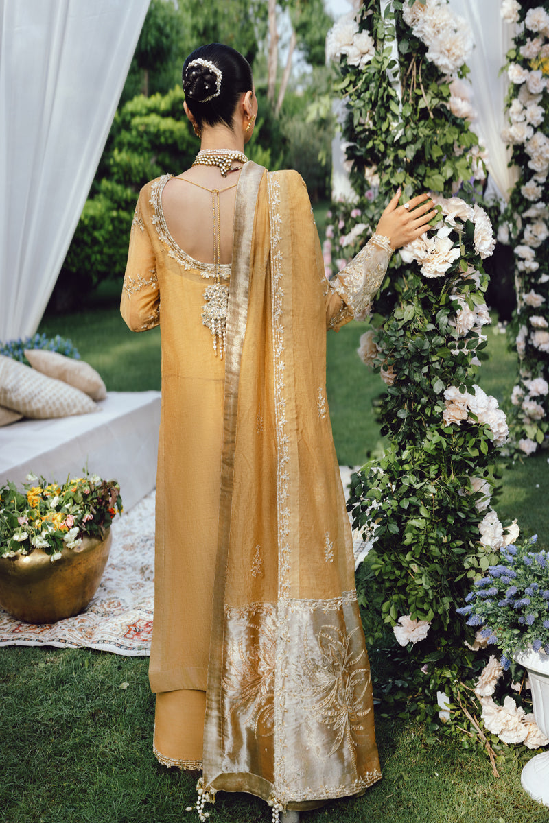 Rang Rasiya | Wedding Formals '25 | Misha RR25V08WFD01-UN