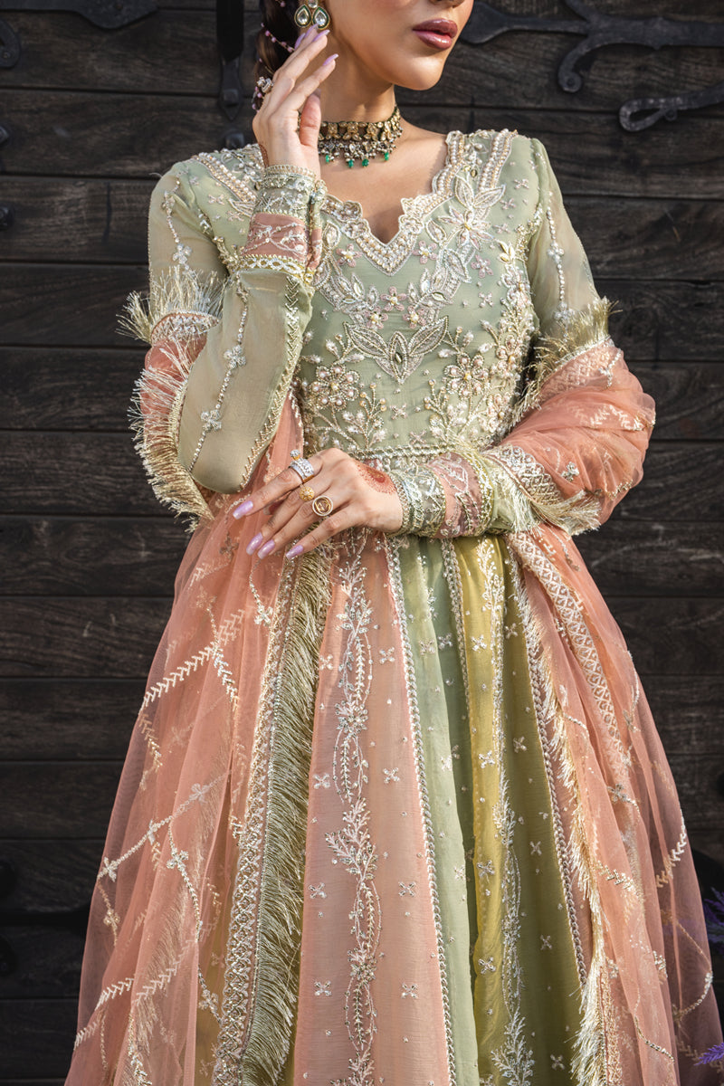 Rang Rasiya | Wedding Formals '25 | Amil RR25V08WFD02-UN