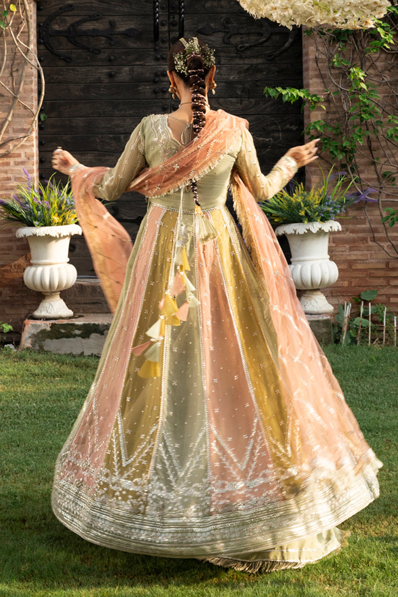 Rang Rasiya | Wedding Formals '25 | Amil RR25V08WFD02-UN