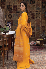 Denara Collection'24 By HumDum D03