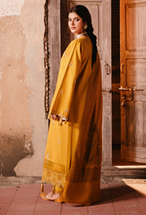 ONORA by HumDum | ONORA D-04 | 3PC