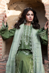 HumDum | D-06 | Khumar '25 WINTER