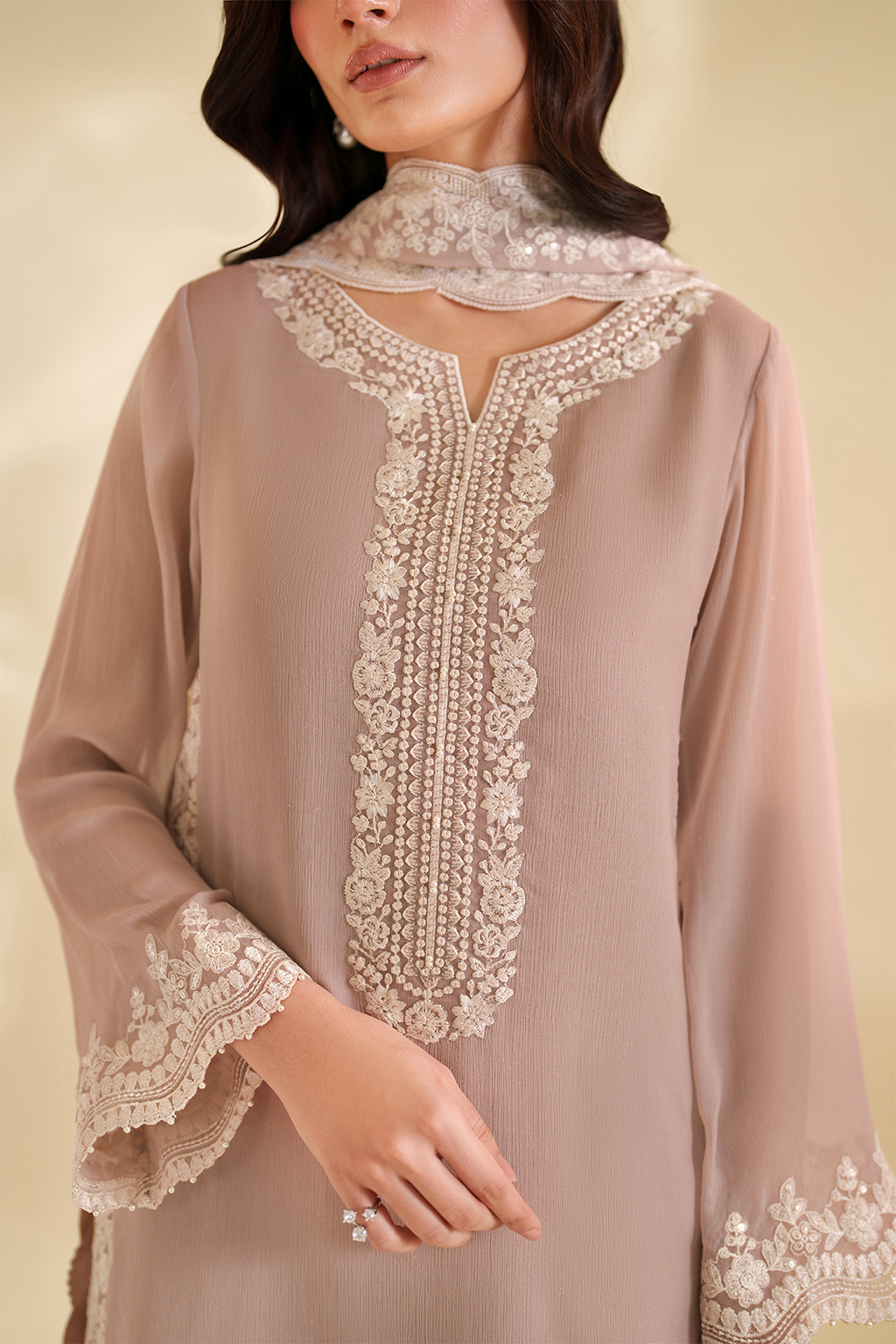 Iznik | Chinon Chiffon | CC-79 Embroidered Chiffon