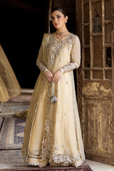 Embroidered front view of WN-07 HEELA chiffon shirt by Qalamkar
