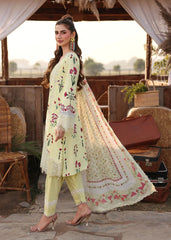 Sardinia Festive Lawn '26 | Sunlit