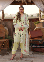 Sardinia Festive Lawn '26 | Sunlit