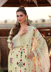 Sardinia Festive Lawn '26 | Sunlit