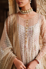 Iznik | Printed Formal | UE-548 Embroidered Net