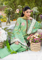 Elaf | ECD-6B PASTELLE | PRINTS WITH CHIFFON'25