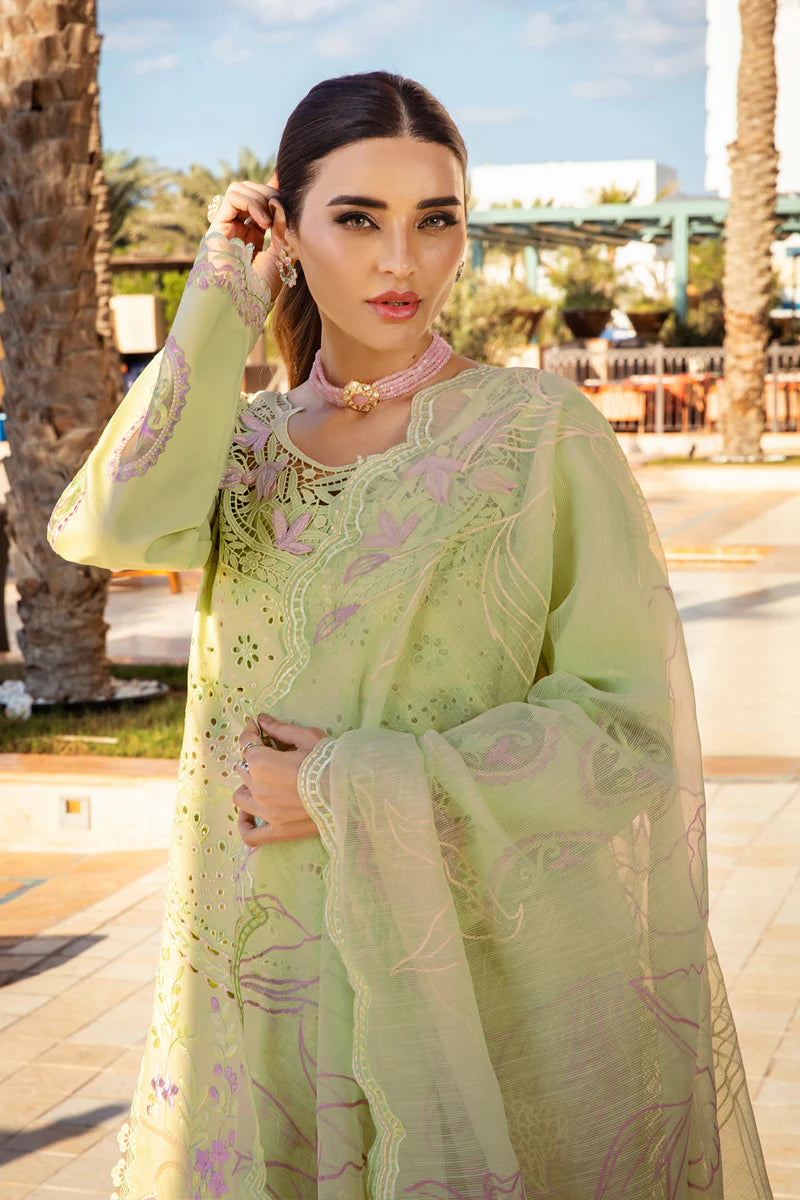 Premium Summer Collection '25 | Ayleen | 3PC Embroidered Lawn Suit