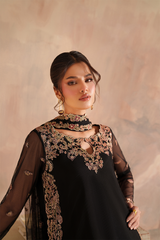 Iznik | Chinon Chiffon | CC-77 Embroidered Net