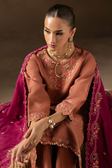 RajBari Sareen Premium Viscose Chikankari By  ( 12 )