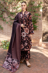 The Winter Whispers Collection'24 By Farasha Rustic