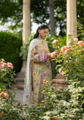 Elaf Signature Embroidered Lawn with Chiffon Collection Vol II '26 | ESG-7A STELLA