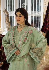KARANDI 2025 | PRIMROSE | KKH-01