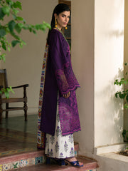 GULRUKH WINTER KHADDAR '25 | 66-A