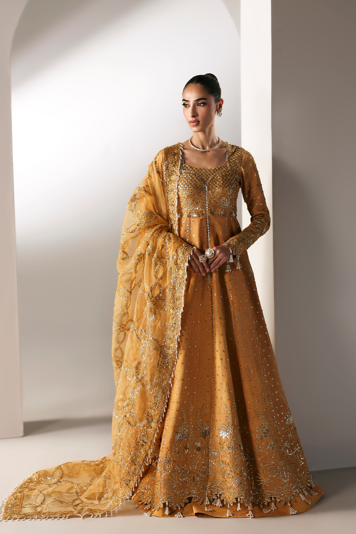Serein Luxe Silk by Emaan Adeel | GOLDEN HOUR