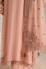Iznik | Luxury Formal | UE-479 Embroidered Chiffon