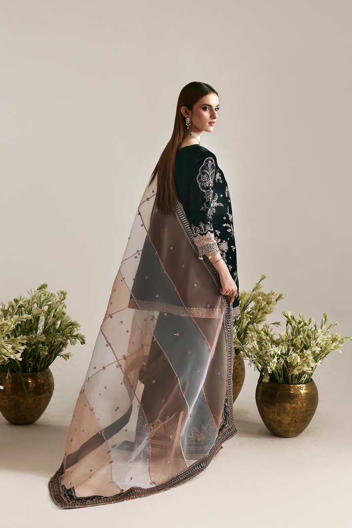 Maroon velvet formal wear Mehrunisa Emaan Adeel 2025