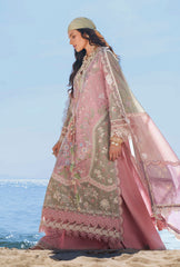 AJR Evara Luxury Lawn | Niva