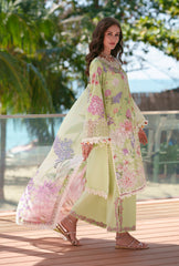 AJR Printed Chikankari '26 | Riwa