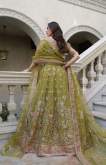 AZRINA by Inayat Premium festive formal wear in embroidered net and raw silk