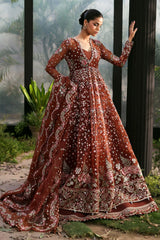 Afrozeh Shale luxury festive dress by Afrozeh

