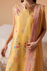 Afrozeh Haze - Summer Edit '26 | Evania Yellow