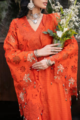 Naqsh CHIKANKARI FESTIVE EDIT '26 | Maple Glow - 00202