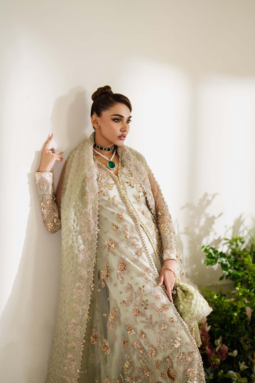 Reem Festive'24 By Zoya & Fatima Sania