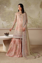 Zarif Zaneera Seriyah skin embroidered net formal dress – full view