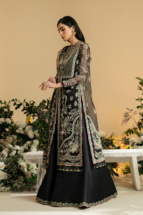 Vasl Festive Edit Collection '24 By Nyra Couture Naqsh