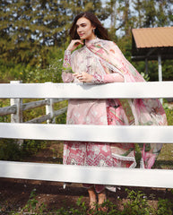 Solace | Ombre Chikankari By Mushq | Dew Drift