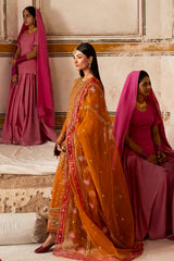 Dupatta and pallu embroidery details of Emaan Adeel SOLMIRA outfit