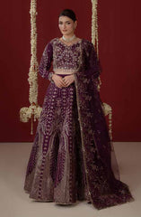 Aylin Ember Festive '26 | ETHEREAL