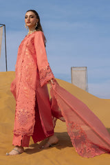 Rang Rasiya Premium Summer Collection '26 | Elnaz