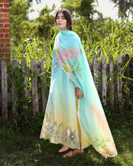 Solace | Ombre Chikankari By Mushq | Ethereal Pause