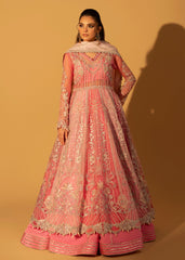 Aylin Silk Edit '25 | Petal Bloom