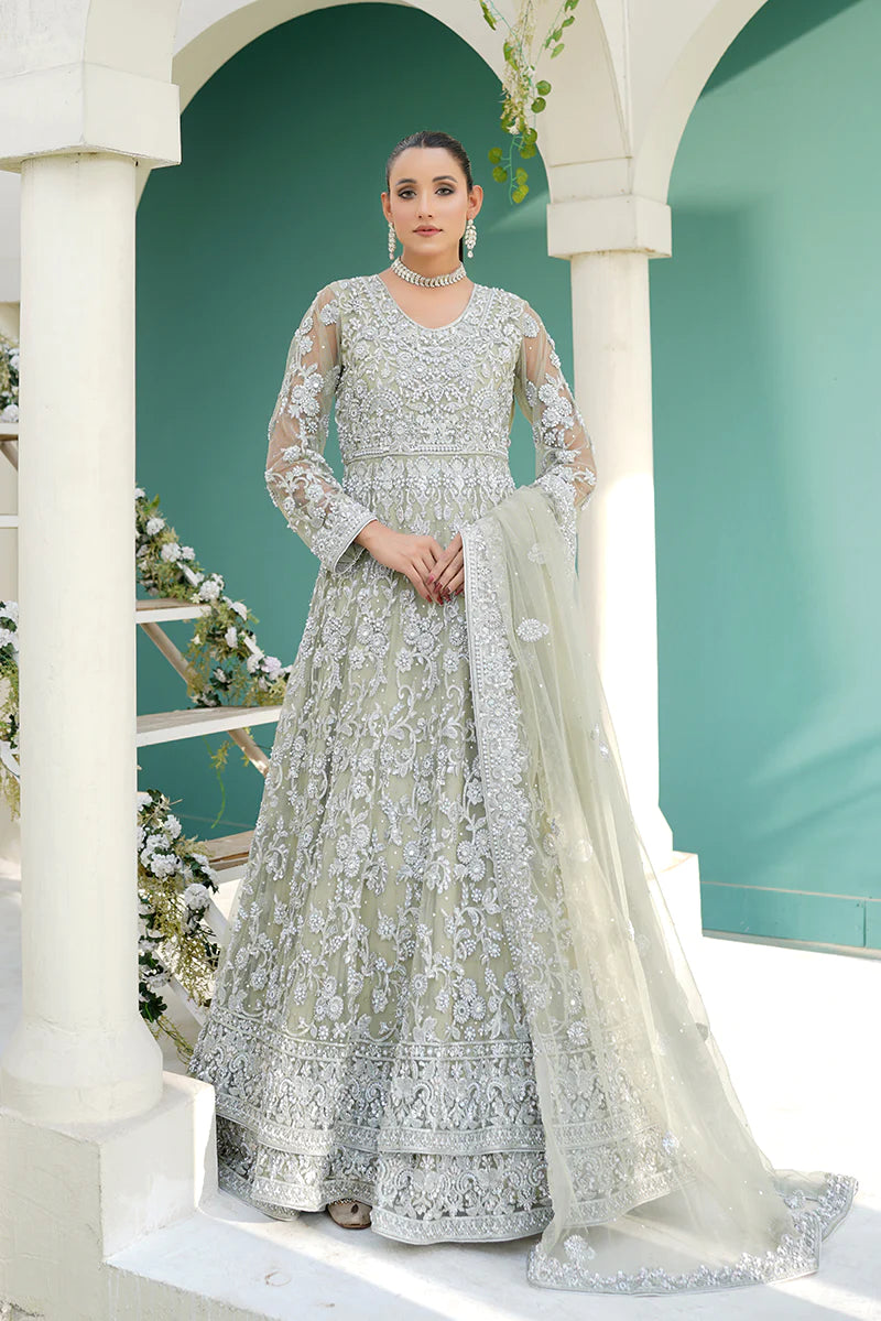 Shahnoor Formals Vol 2 Collection '23 By Hm Zari Embroidered Pista Maxi Dress