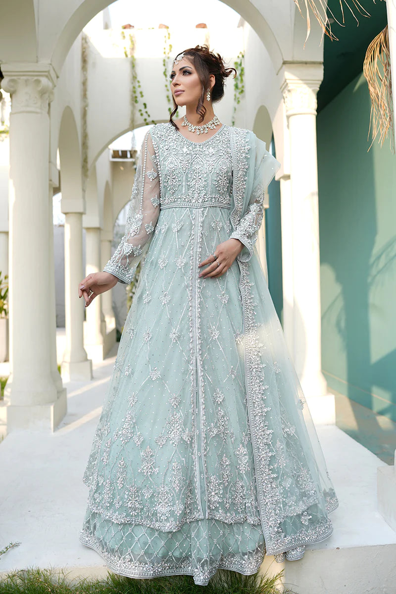 Shahnoor Formals Vol 2 Collection '23 By Hm Zari Embroidered Ice-Pista Maxi Dress