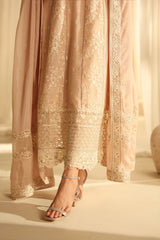 AZURE SIGNATURE SERIES FESTIVE COLLECTION | Hazel Harmony