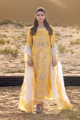 Rang Rasiya Premium Summer Collection '26 | Hoorain