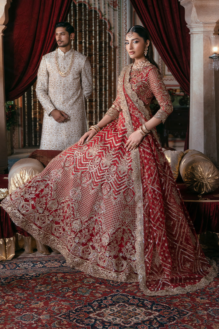 Organza border detailing on Imrozia Premium Zeenat