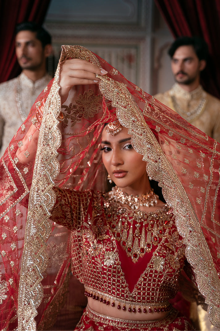 Organza border detailing on Imrozia Premium Zeenat
