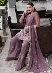 Intricately embroidered chiffon side panels of Sahane CT 25005 Roseate