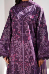 Sunspell '26 By Afrozeh | AVENOR