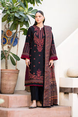 Dhoop Kanary Collection'24 By Xenia Formals Siyah