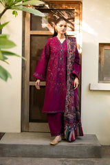 Dhoop Kanary Collection'24 By Xenia Formals Sumbul