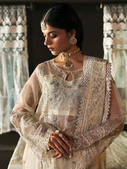 Mahnur Nehaаb PK - 10 elegant embroidered organza suit