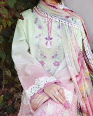 Solace | Ombre Chikankari By Mushq | Petal Pull